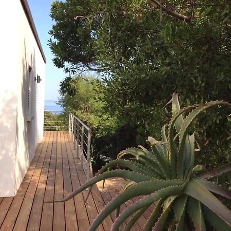 En Corse Du Sud - Golf D'ajaccio