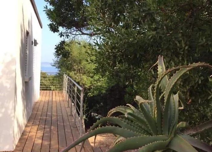 En Corse Du Sud - Golf D'ajaccio