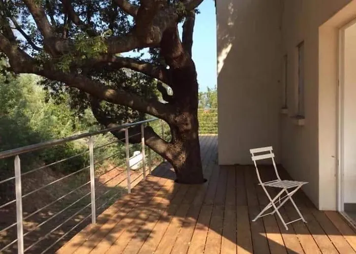 En Corse Du Sud - Golf D'ajaccio 科蒂基亚瓦里